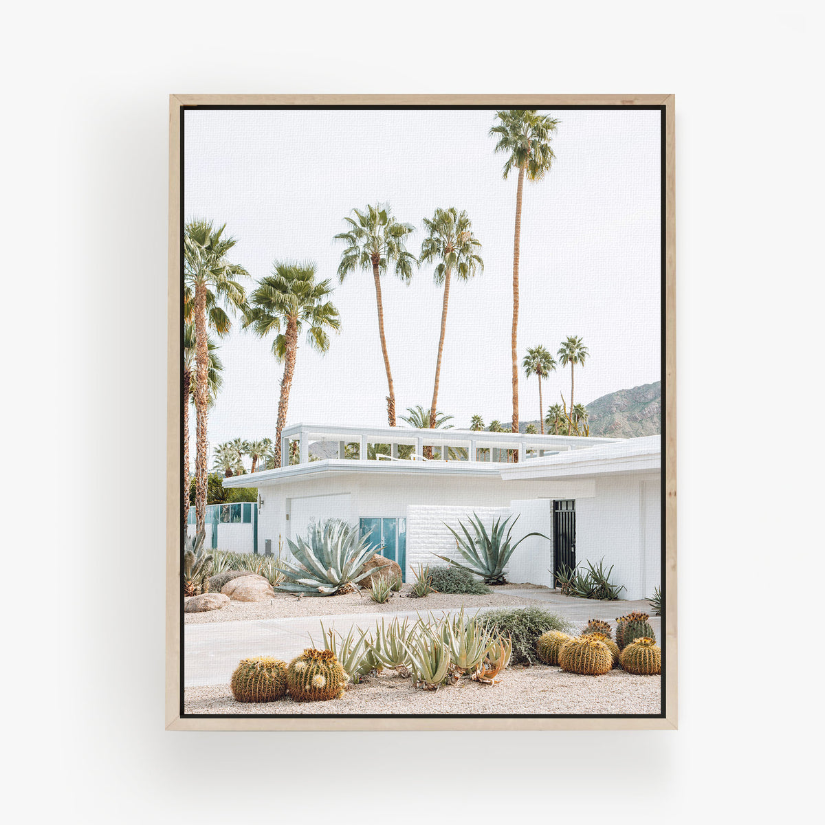 Palm Springs Living