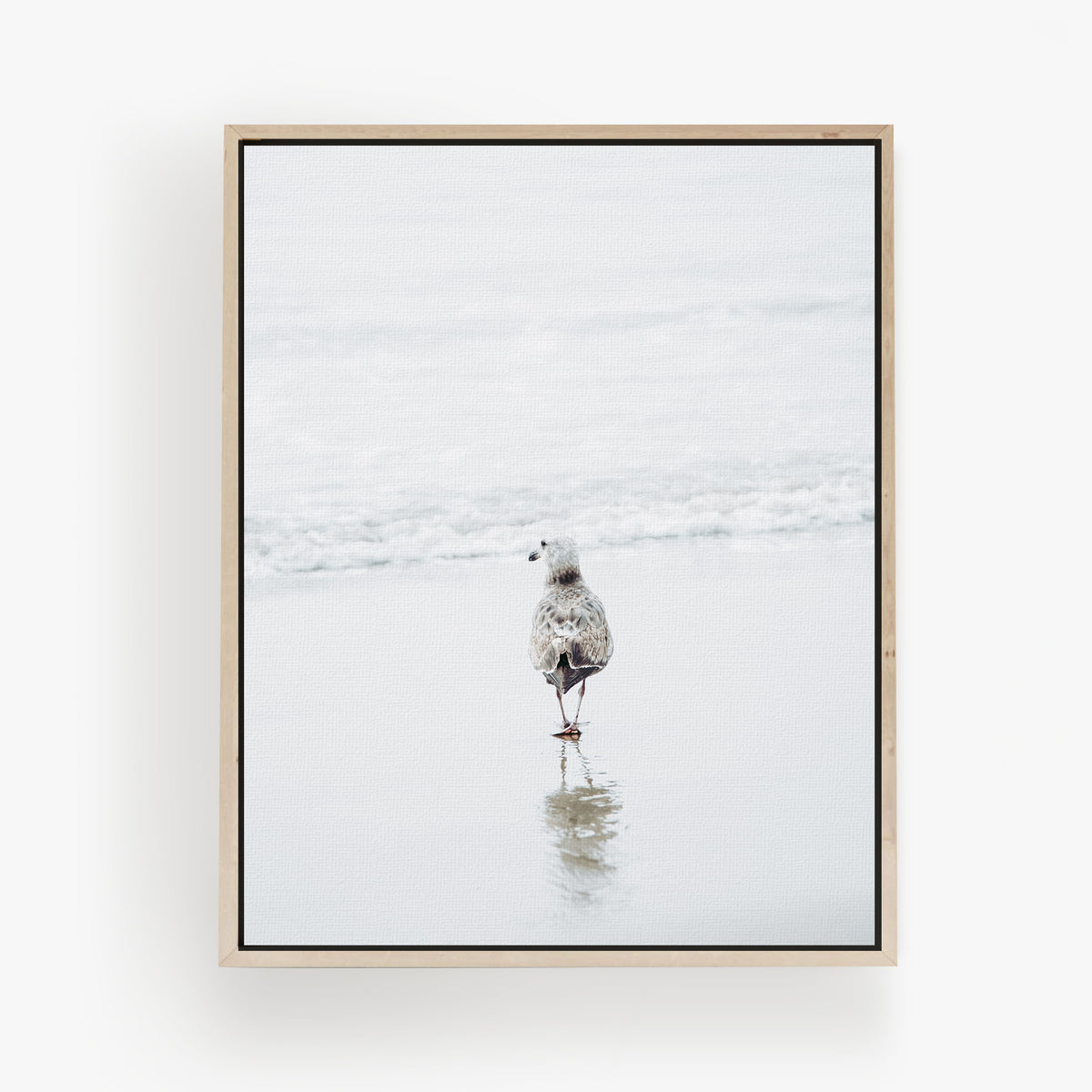 Wanderer