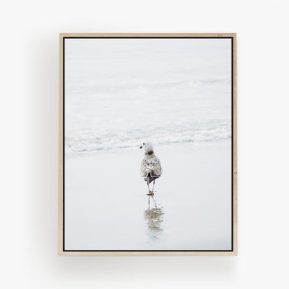 Wanderer