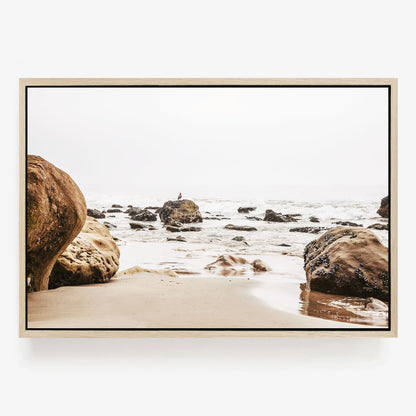 Malibu Rocky Shore
