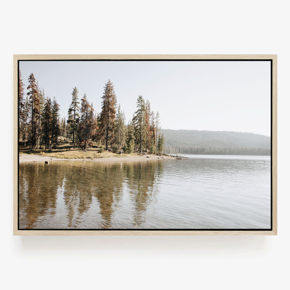 Reflected Trees