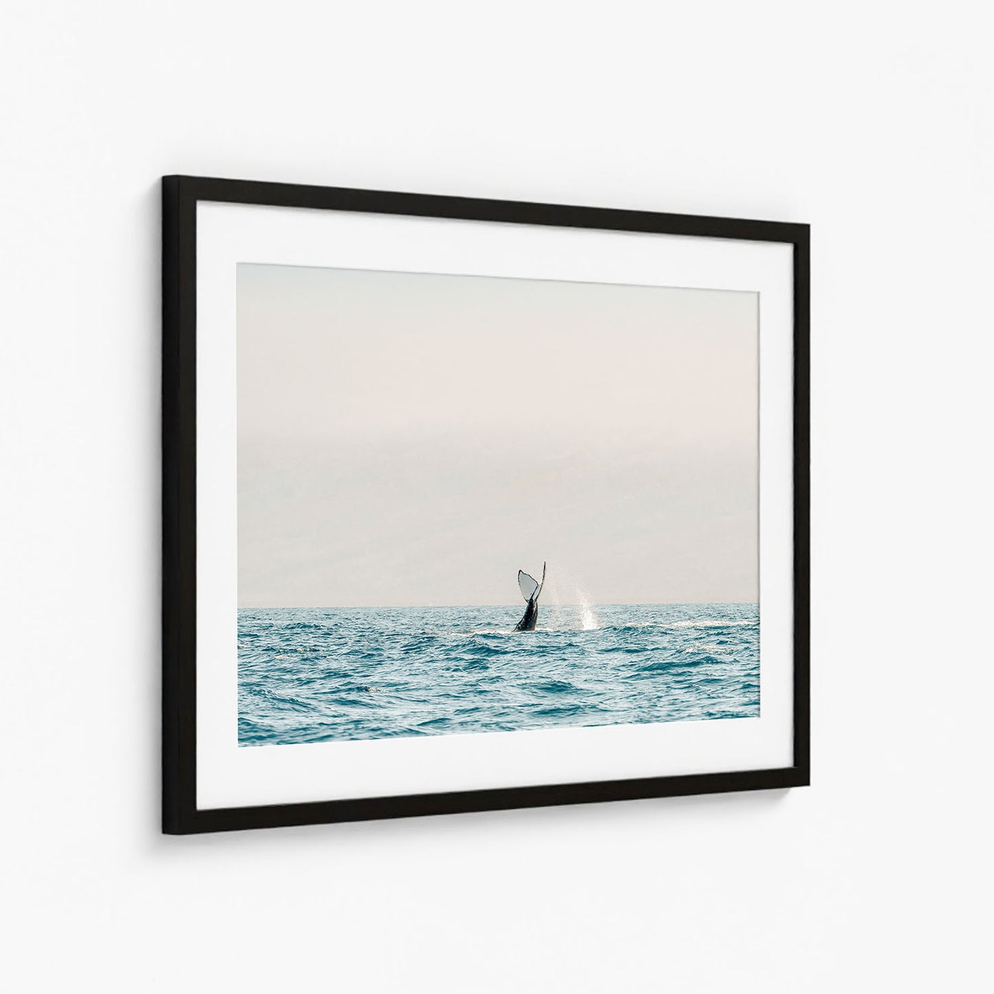 SEA GIANT