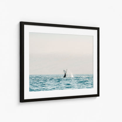 SEA GIANT