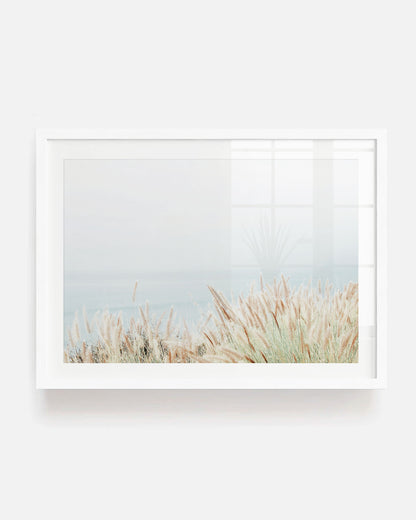 Coastal Grass - Neutral Photography Wall Art