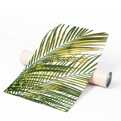 TROPIC CALM