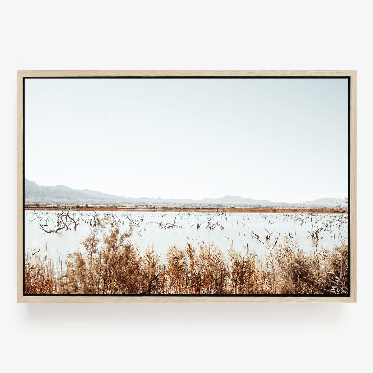 Desert Marsh