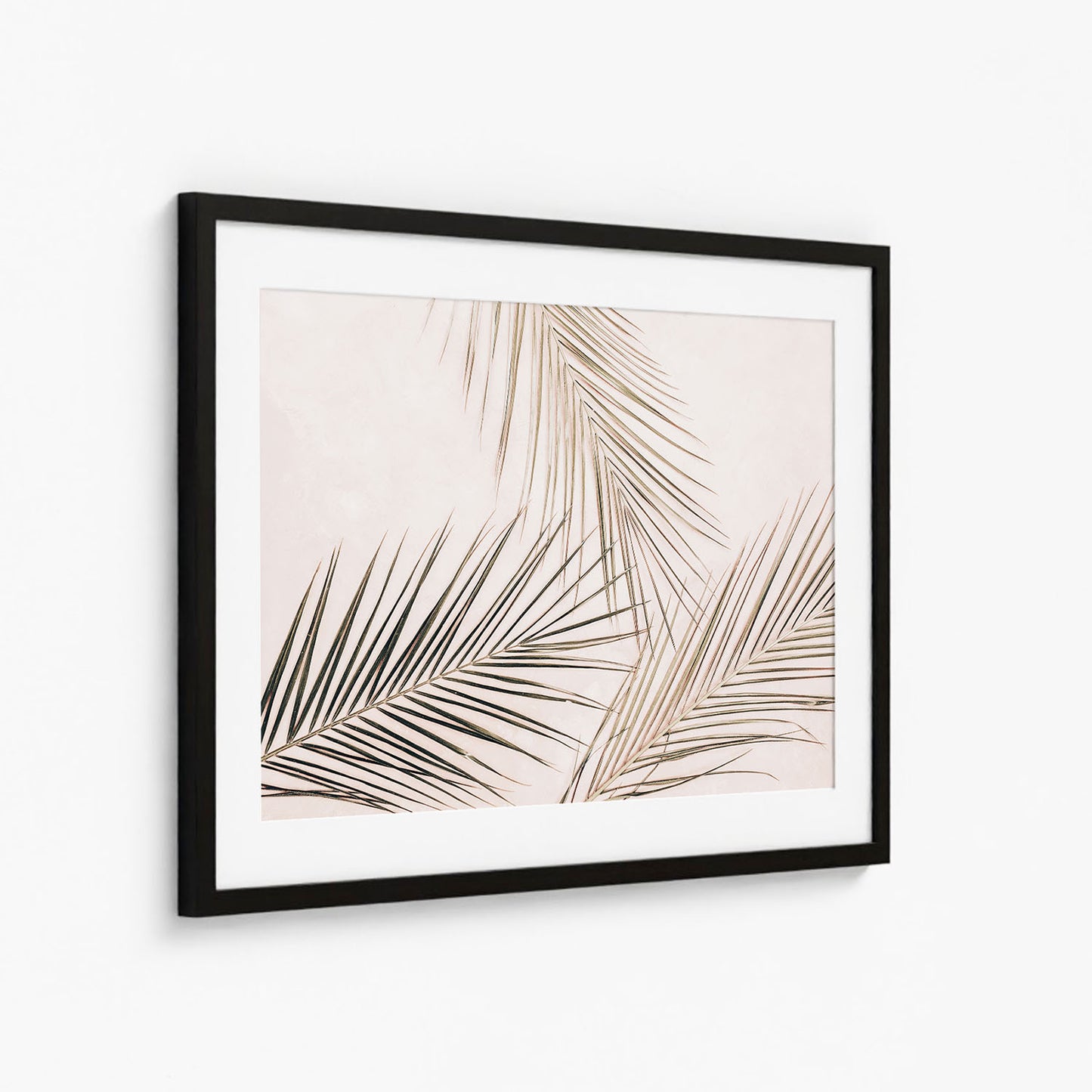 TROPICAL BLUSH