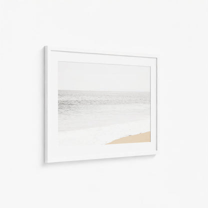 MUTED COAST