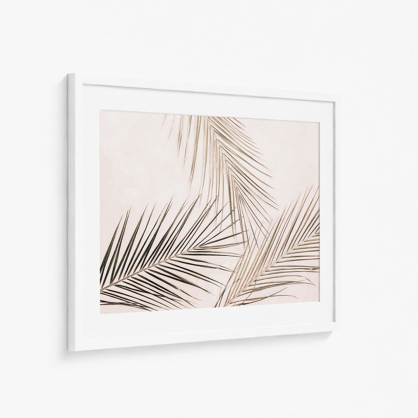 TROPICAL BLUSH