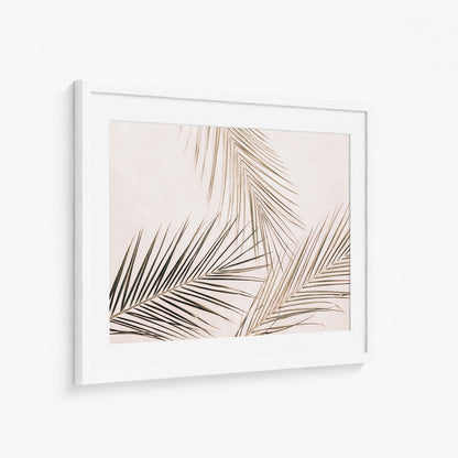 TROPICAL BLUSH