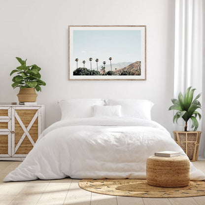PALMSCAPE