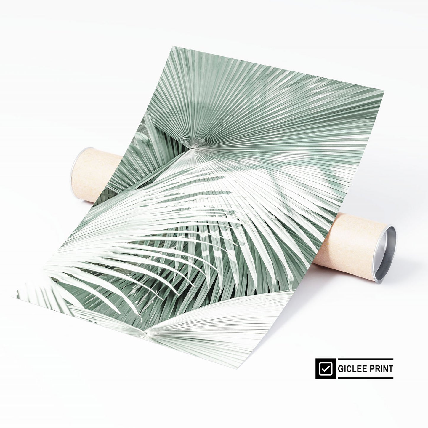 MINT PALMS