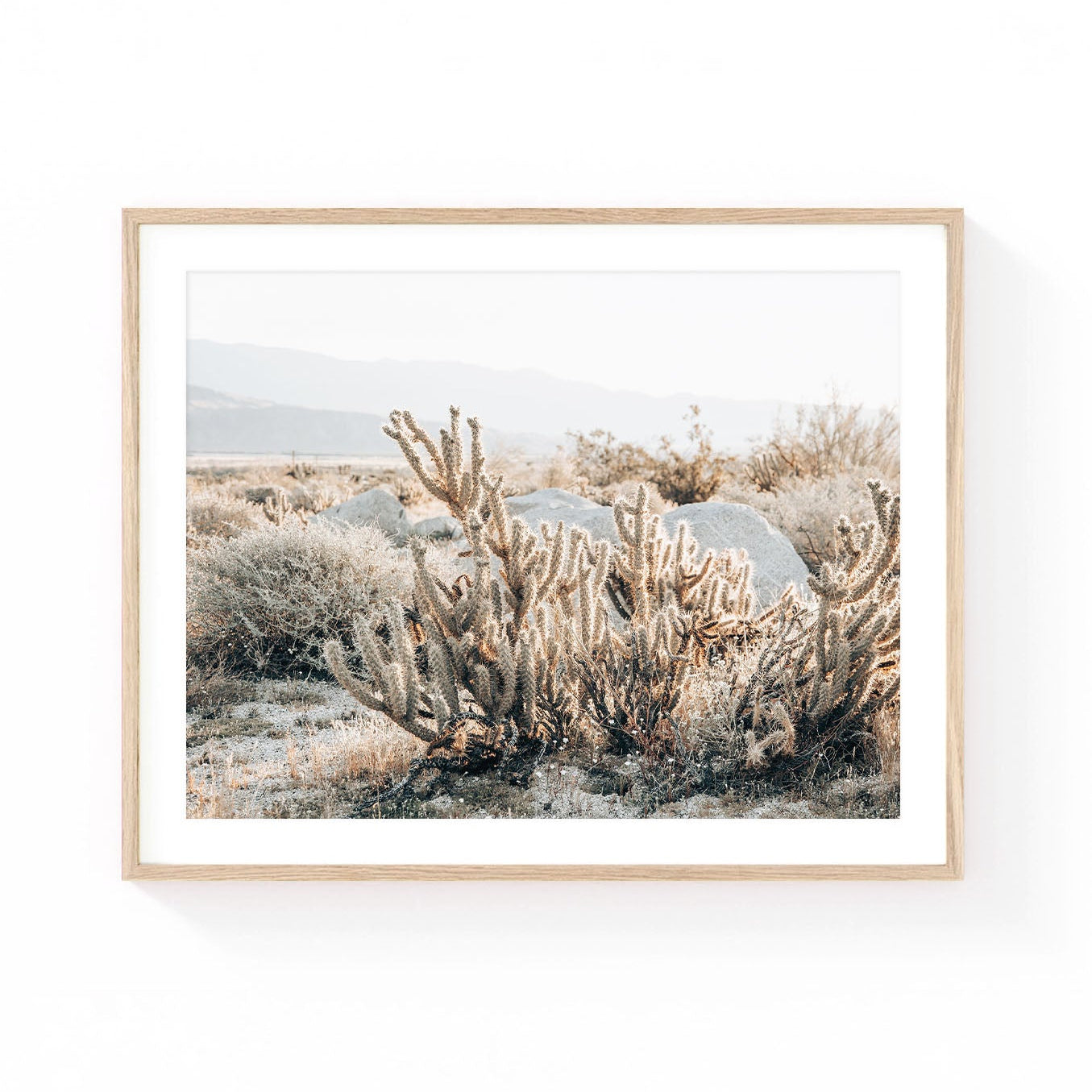 Anza-Borrego cactus wall art featuring a sunlit cholla cactus surrounded by desert shrubs, boulders, and distant mountains in soft neutral tones.