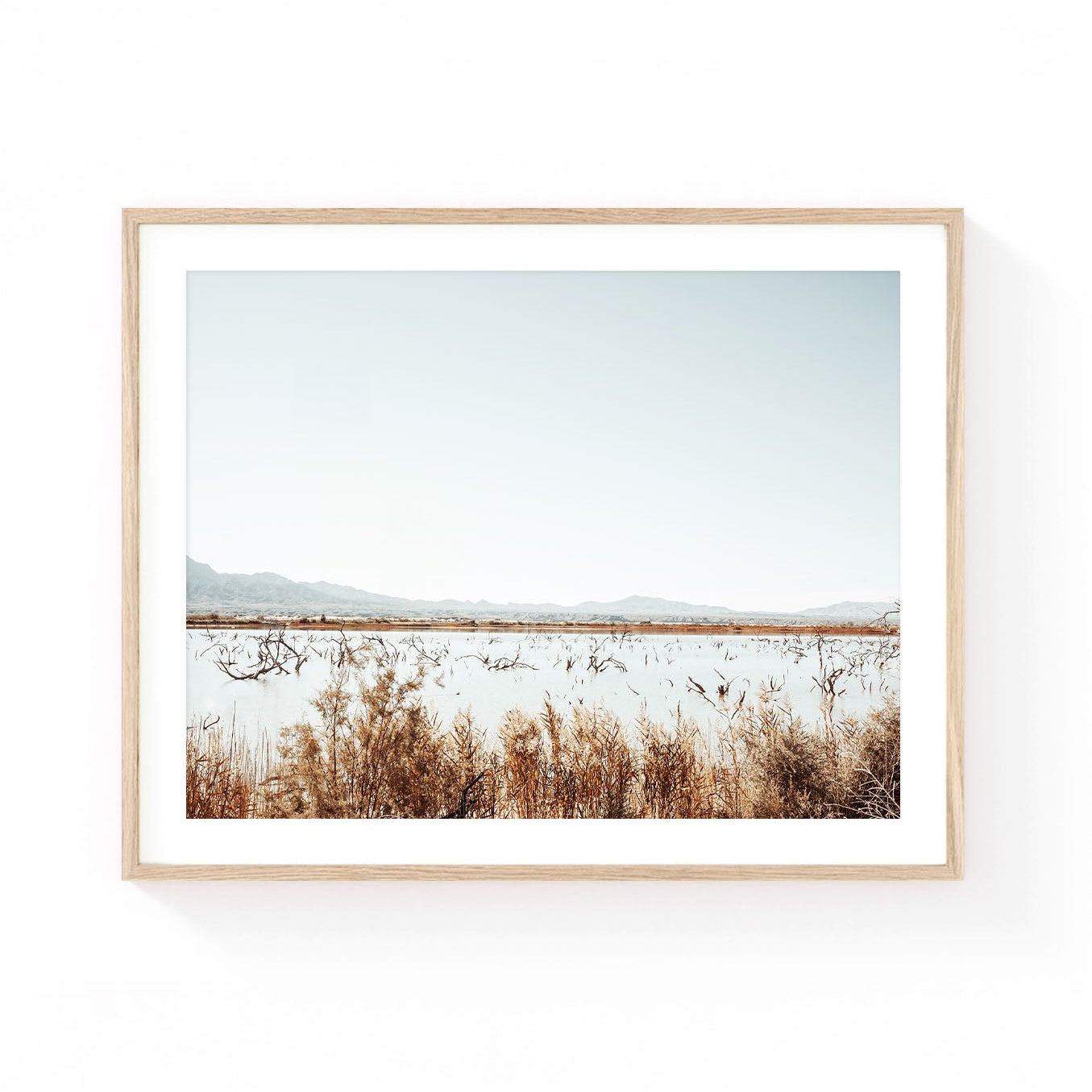 Arizona wetlands wall art featuring a tranquil desert marsh with reeds, reflective water, scattered tree branches, and distant mountains beneath a soft blue sky.