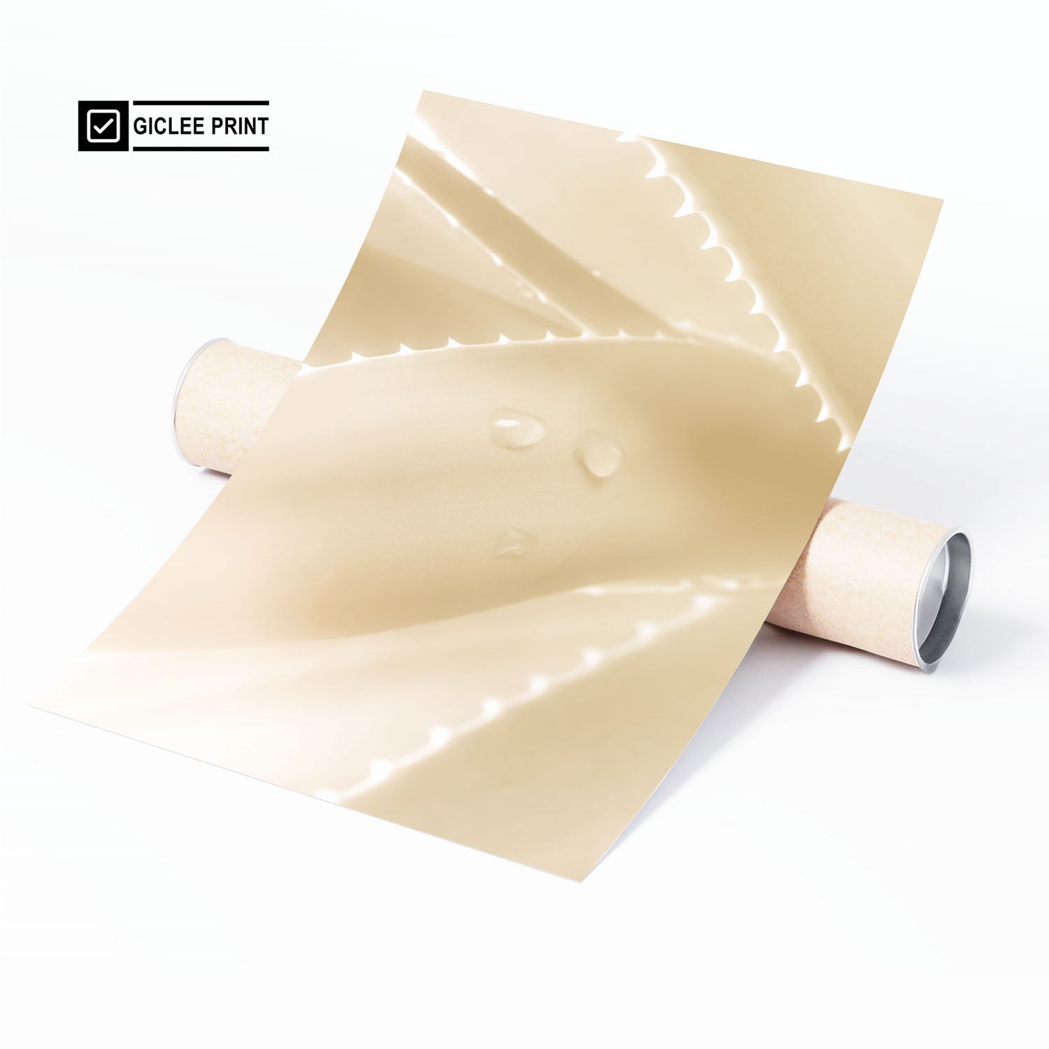 Unframed fine art aloe print in beige minimalist tones with close-up detail.