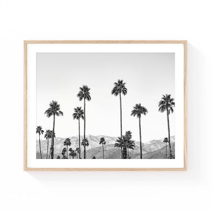 Black and white Palm Springs wall art featuring tall palm trees silhouetted against desert mountains, creating a timeless California landscape with modern minimalist appeal.