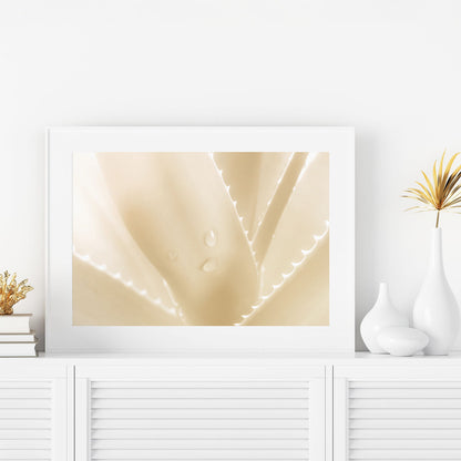 Beige minimalist aloe photography framed print with natural textures.