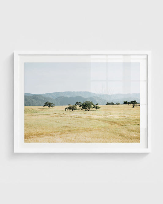 California oak tree landscape wall art with scattered trees across a golden field and soft blue layered hills in the background.