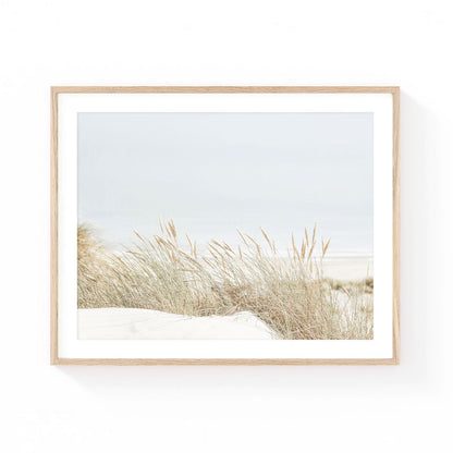 Coastal dune grass wall art featuring golden beach grass growing on sandy dunes with a soft ocean horizon in airy neutral tones.