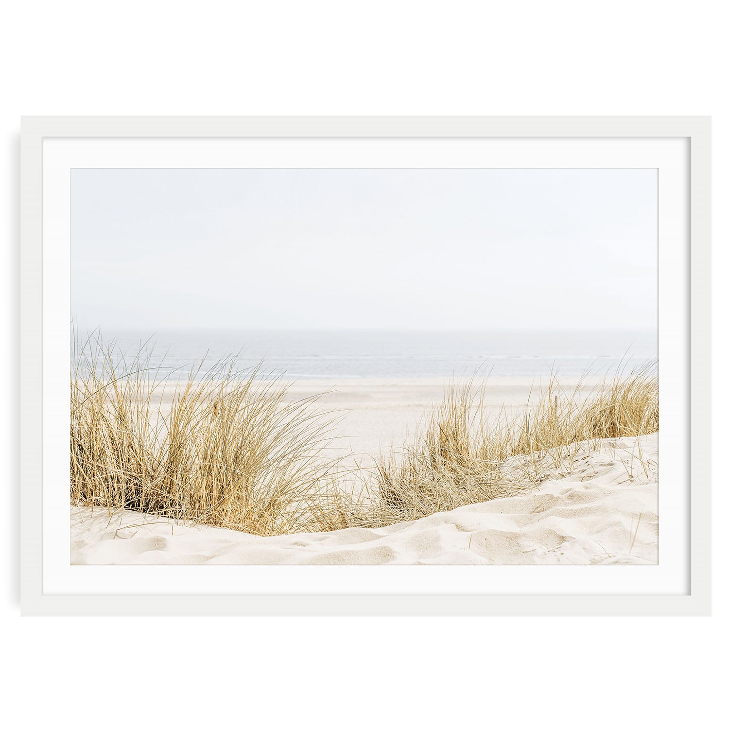 Fine art coastal wall art print of beach grass in a white frame with mat