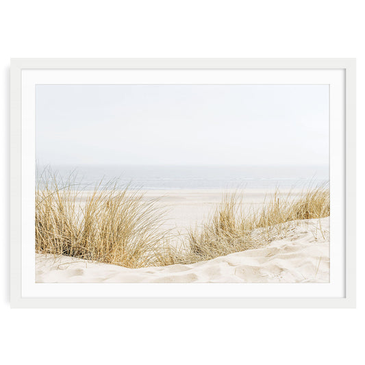 Fine art coastal wall art print of beach grass in a white frame with mat
