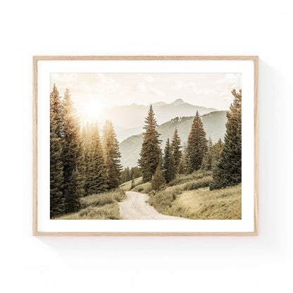 Colorado mountain wall art featuring a winding forest road, towering evergreen trees, and sunlit mountain peaks in warm natural tones.