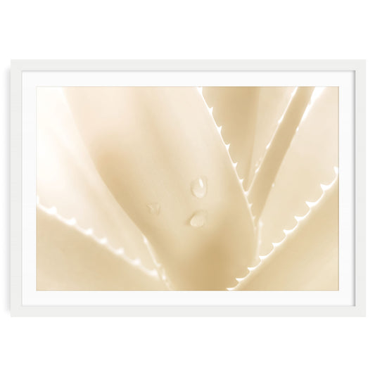 Fine art aloe wall art print in a white frame with mat, minimalist beige tones