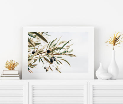 Framed olive branch botanical art print with minimalist neutral tones.