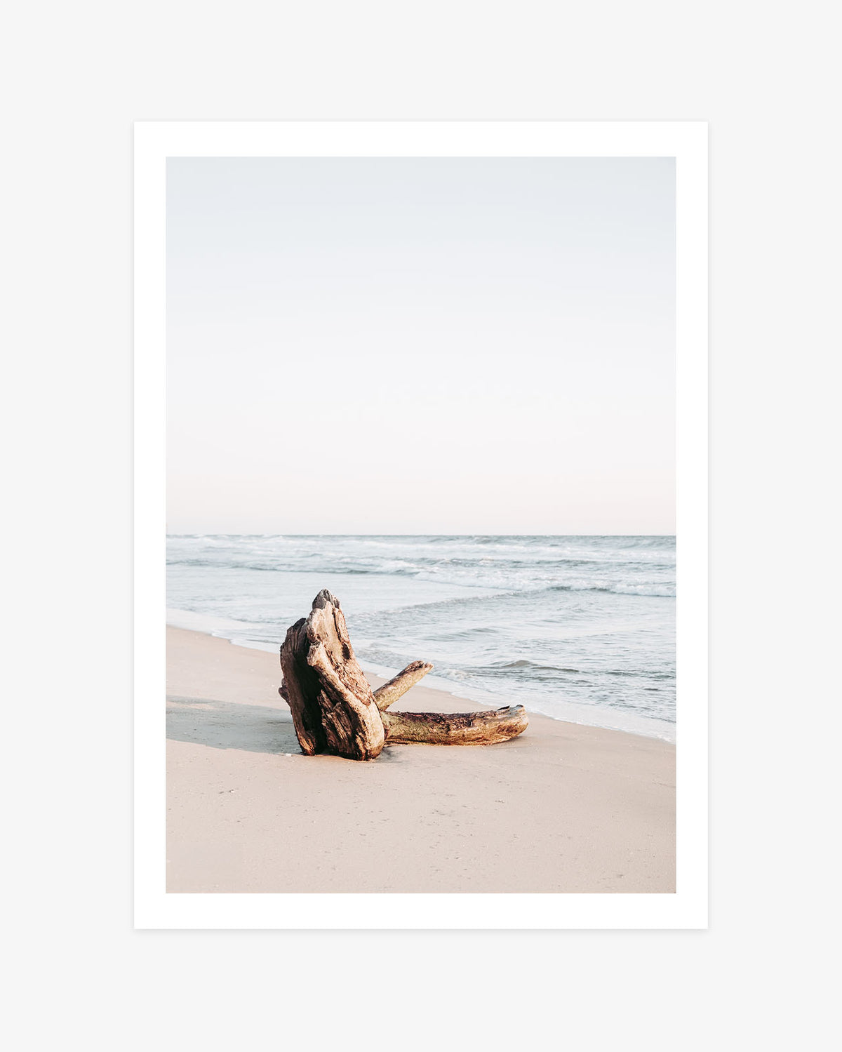 Huntington Beach wall art featuring weathered driftwood resting on a quiet sandy shoreline beside soft blue Pacific waves.