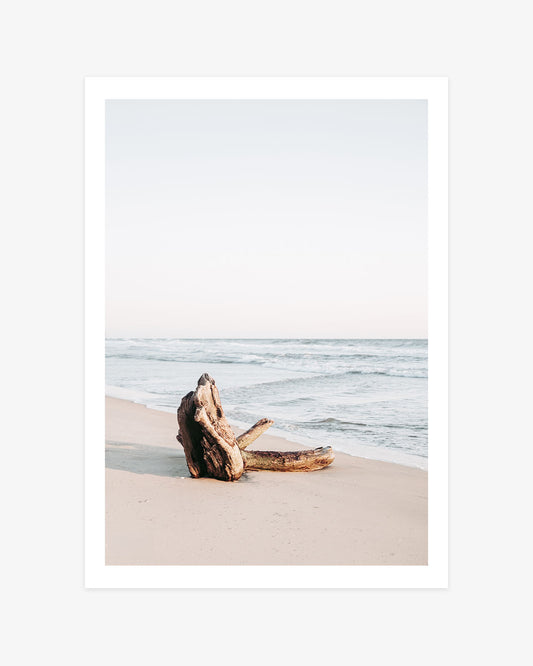 Huntington Beach wall art featuring weathered driftwood resting on a quiet sandy shoreline beside soft blue Pacific waves.