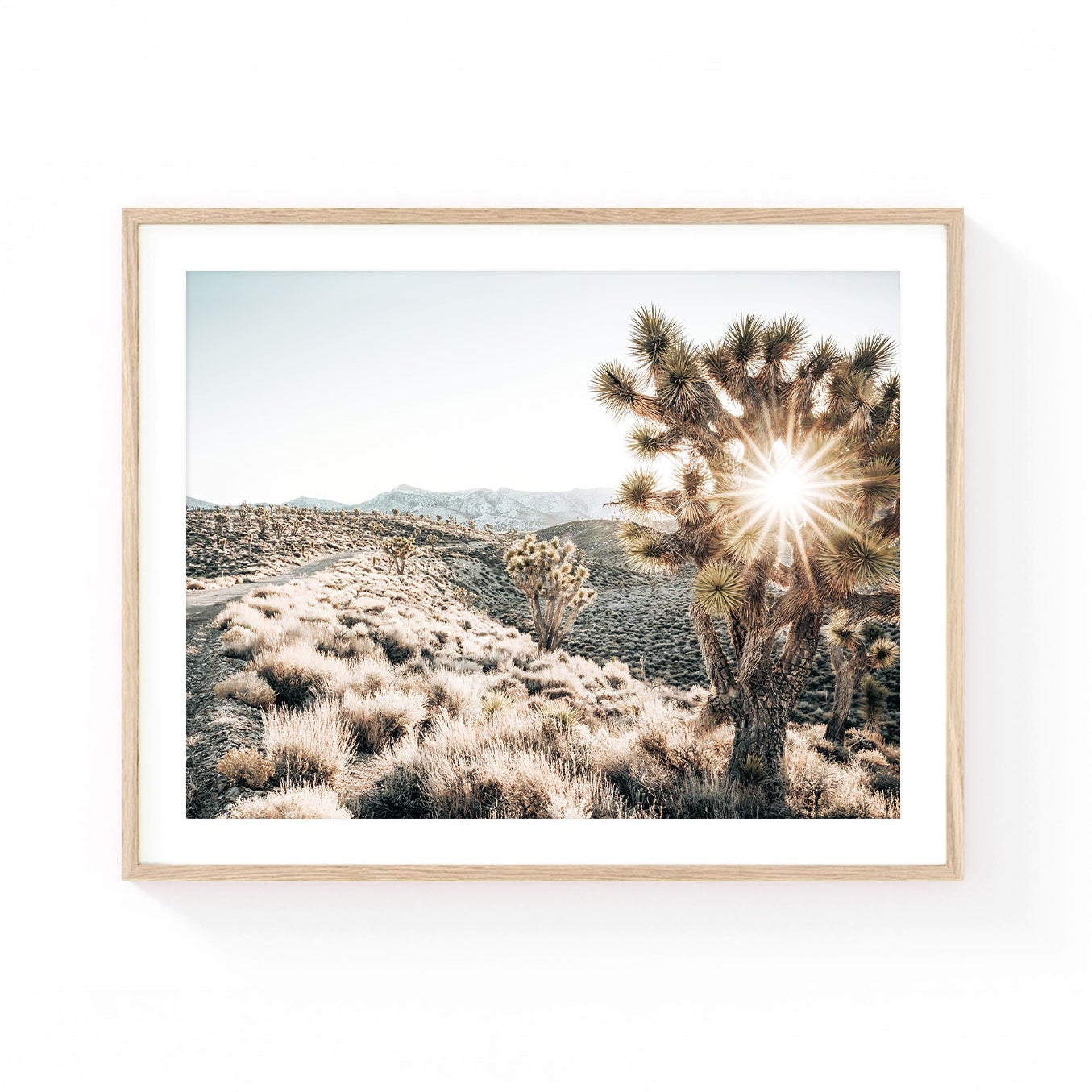 Joshua Tree wall art featuring a sunlit Joshua tree, desert trail, native shrubs, and distant mountain ranges glowing in soft golden light.