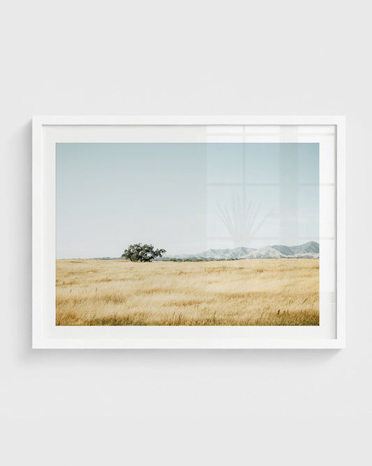 Minimal golden field landscape wall art with a lone tree and distant soft blue mountains under a pale sky.