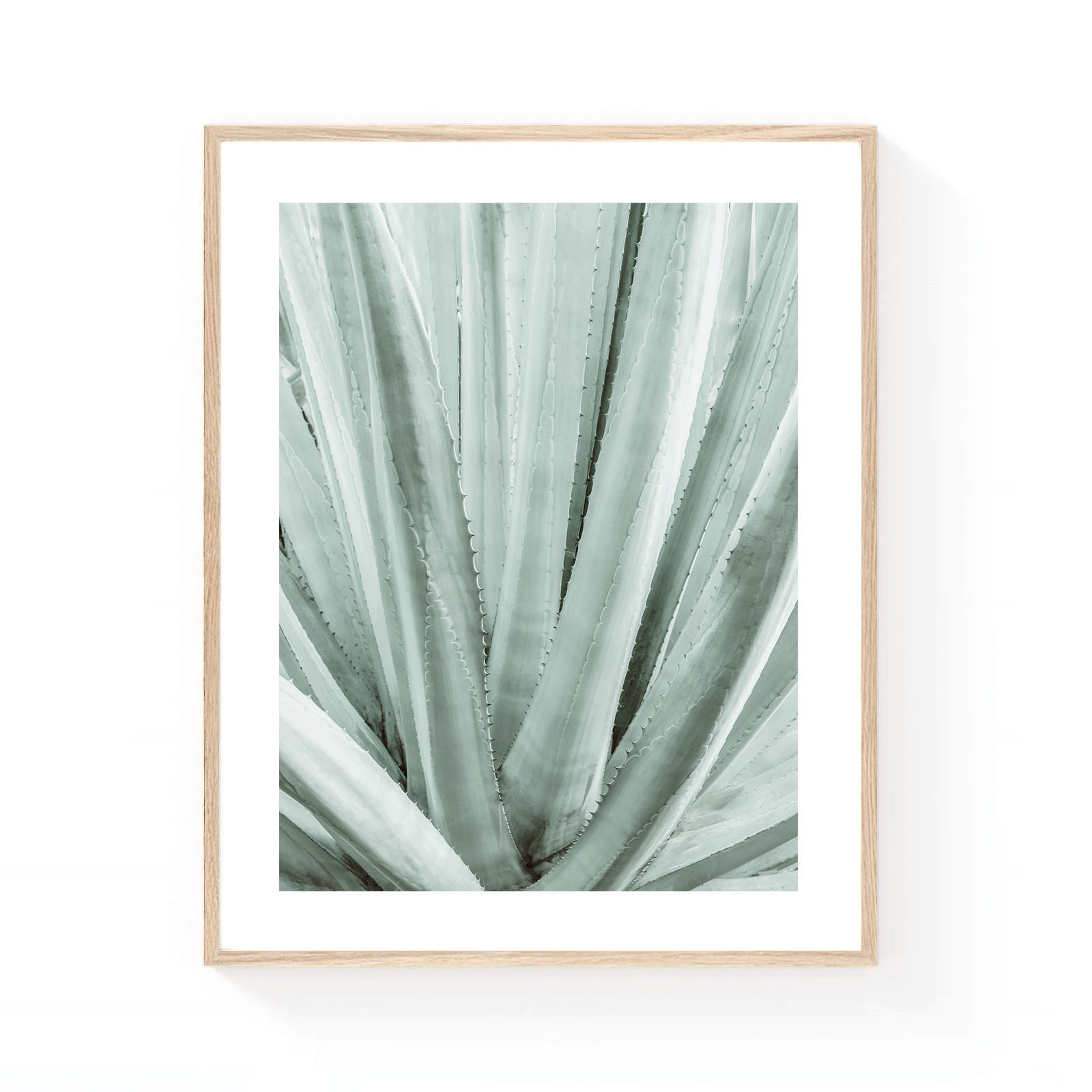 Agave botanical wall art featuring a close-up of layered sage green leaves with soft natural textures and minimalist organic symmetry.