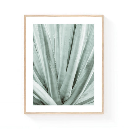 Agave botanical wall art featuring a close-up of layered sage green leaves with soft natural textures and minimalist organic symmetry.