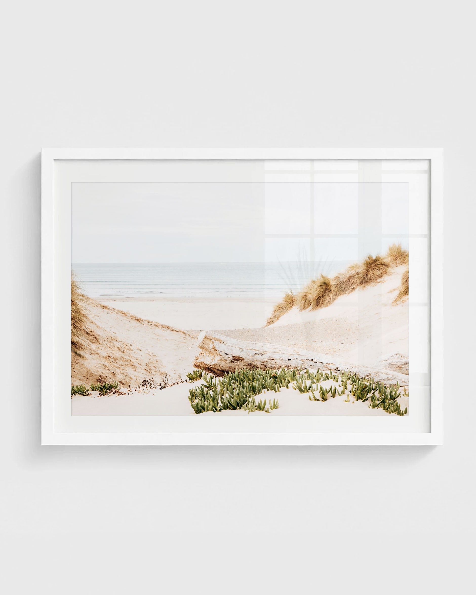 Morro Bay beach wall art featuring soft sandy dunes with beach grass, driftwood, low green plants, and a calm ocean horizon under a pale sky.
