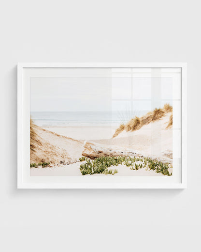Morro Bay beach wall art featuring soft sandy dunes with beach grass, driftwood, low green plants, and a calm ocean horizon under a pale sky.