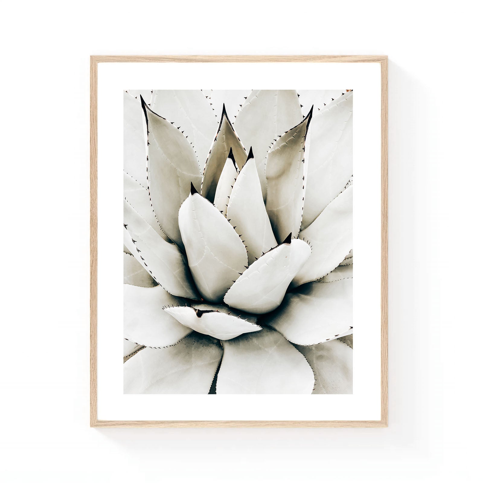 Neutral agave wall art featuring a close-up of a sculptural agave succulent in soft ivory and sage tones, showcasing symmetrical botanical forms and organic desert textures.