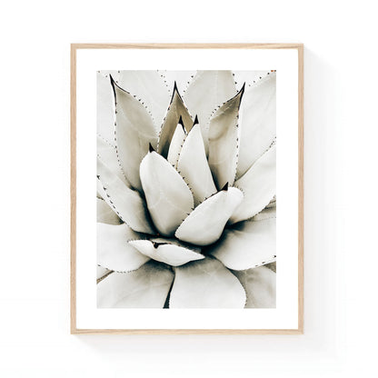 Neutral agave wall art featuring a close-up of a sculptural agave succulent in soft ivory and sage tones, showcasing symmetrical botanical forms and organic desert textures.