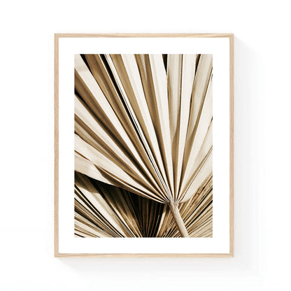 Neutral botanical wall art featuring a close-up of a dried fan palm leaf in warm beige and cream tones, showcasing organic texture, sculptural lines, and natural minimalist beauty.