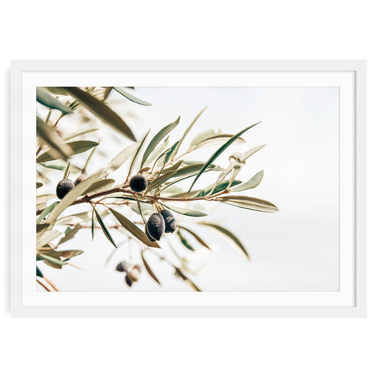 Minimalist olive branch wall art print in a white frame with mat, botanical fine art decor.