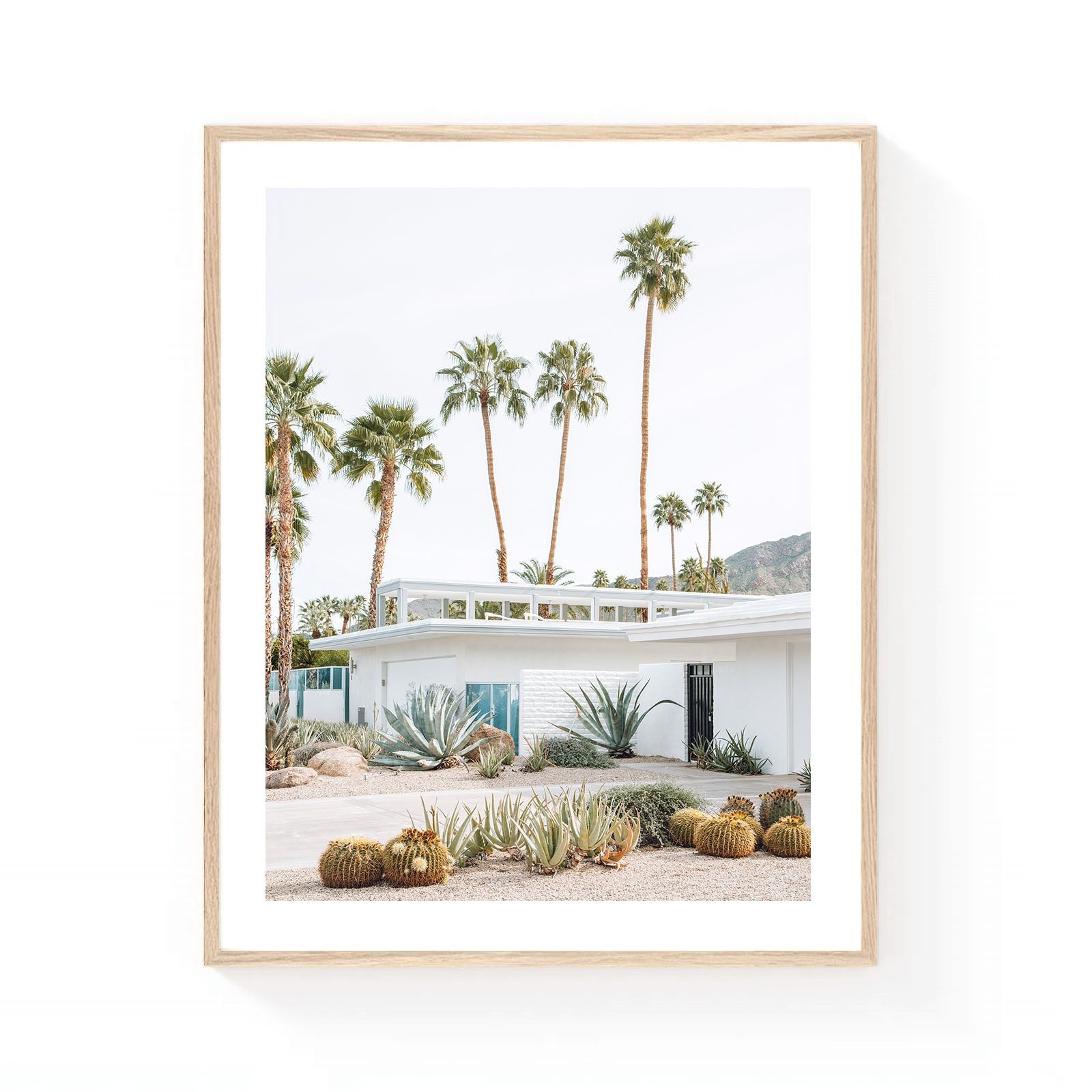 Palm Springs desert home wall art featuring a modern white mid-century house surrounded by agave plants, barrel cacti, and tall palm trees with mountain views in the background.