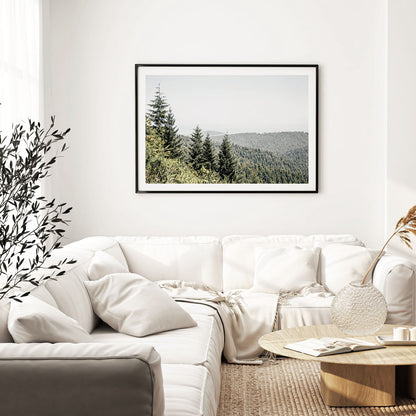 Redwood forest landscape wall art print displayed in modern living room interior
