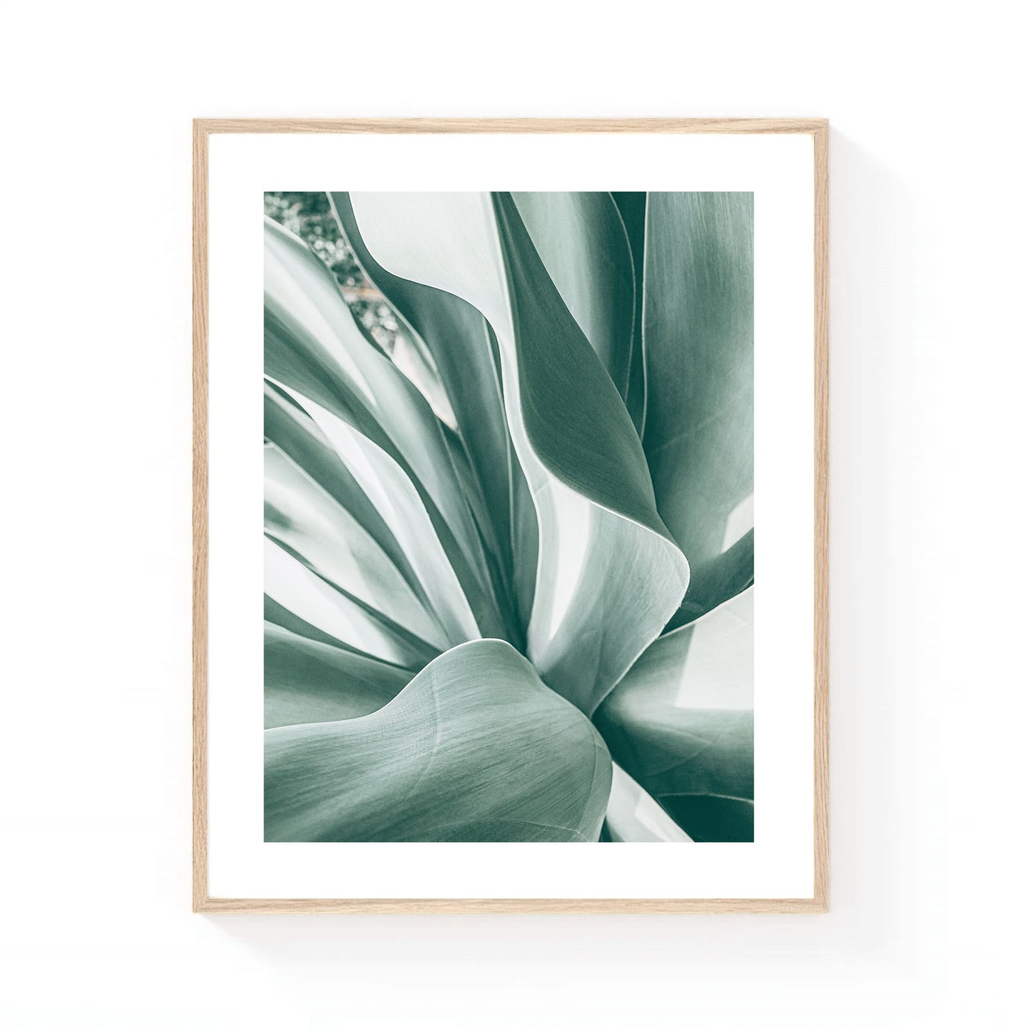 Botanical wall art featuring a close-up of sculptural agave leaves in soft sage green tones with flowing organic shapes and minimalist composition.