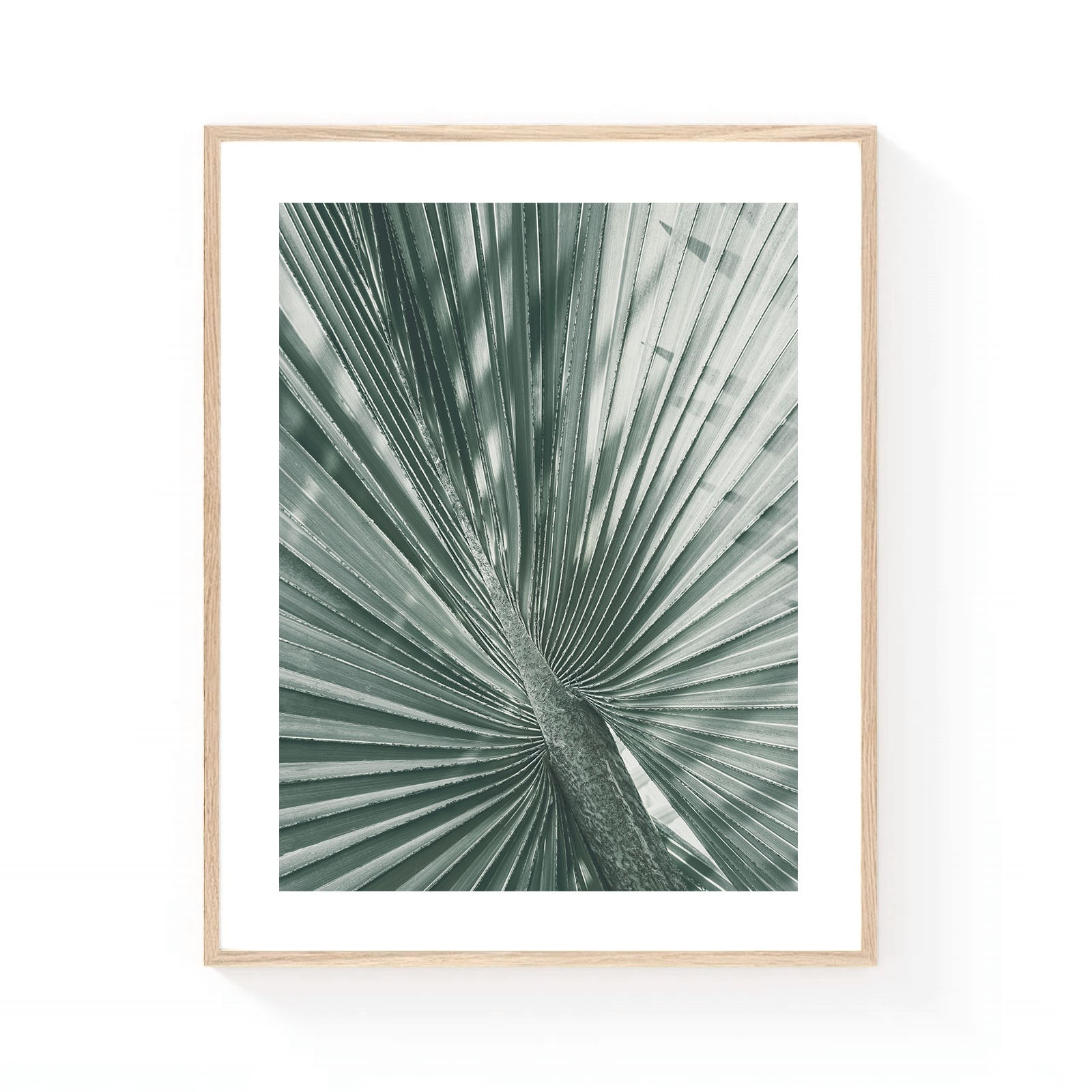 Botanical wall art featuring a close-up of a fan palm leaf in soft sage green tones, showcasing organic texture, sculptural lines, and minimalist tropical elegance.