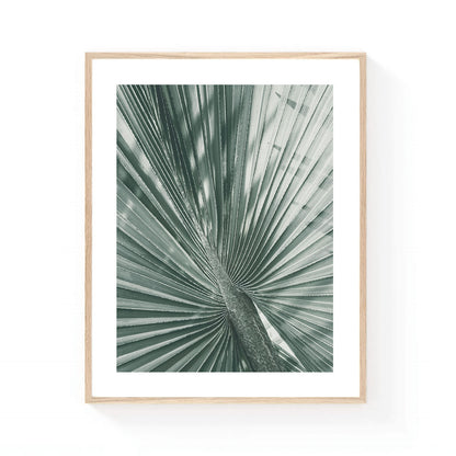 Botanical wall art featuring a close-up of a fan palm leaf in soft sage green tones, showcasing organic texture, sculptural lines, and minimalist tropical elegance.
