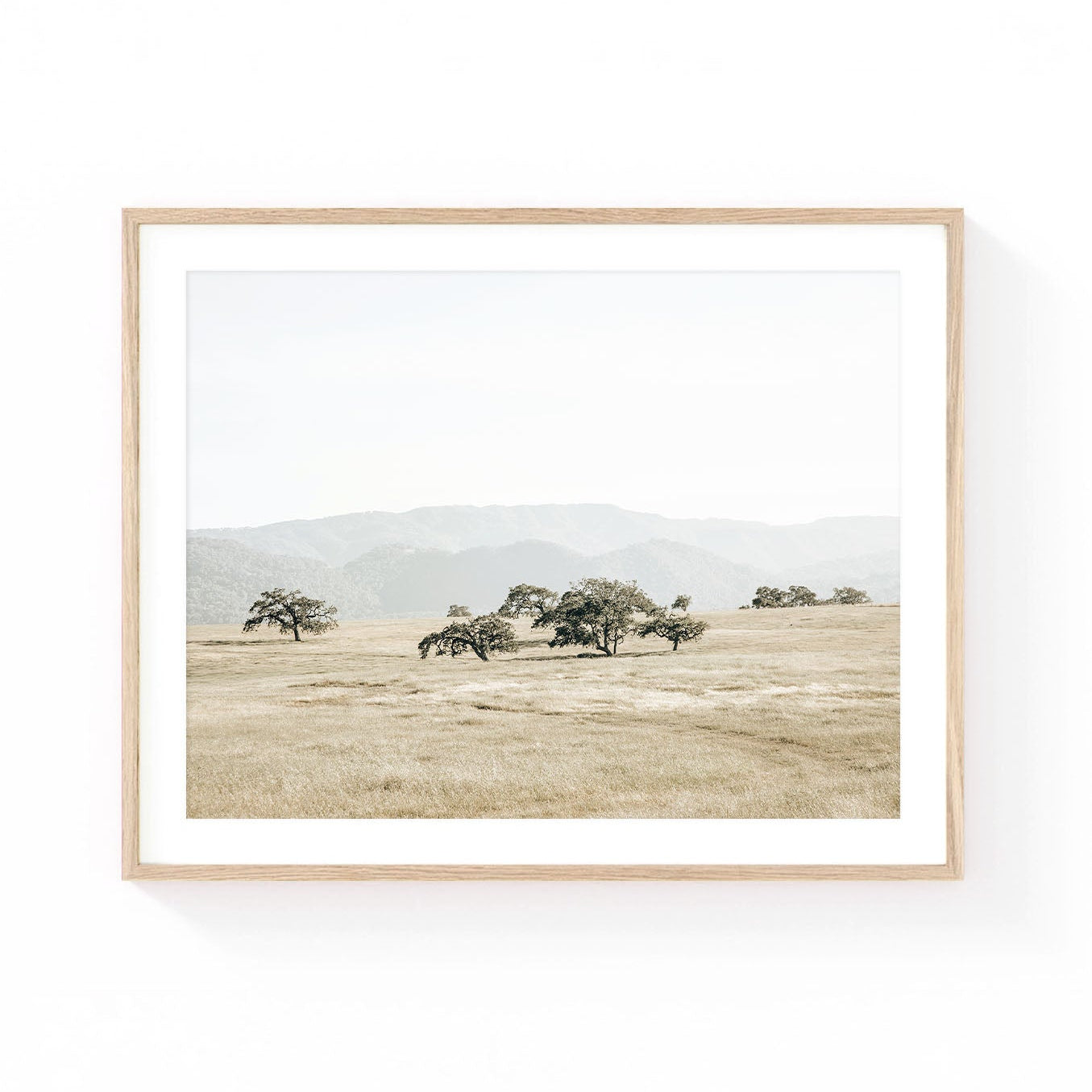Santa Ynez wall art featuring ancient oak trees scattered across a golden meadow with soft mountain ridges in the distance and muted California countryside tones.
