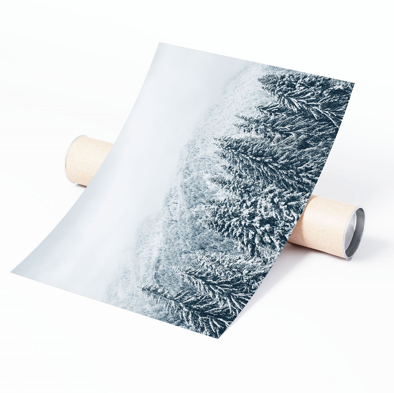 Unframed fine art print of snow covered evergreen forest winter landscape