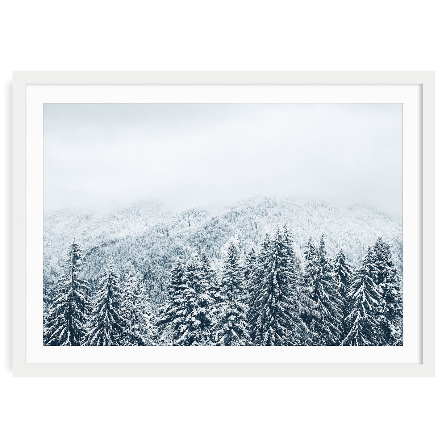 Snow covered evergreen forest wall art print in white frame with mat