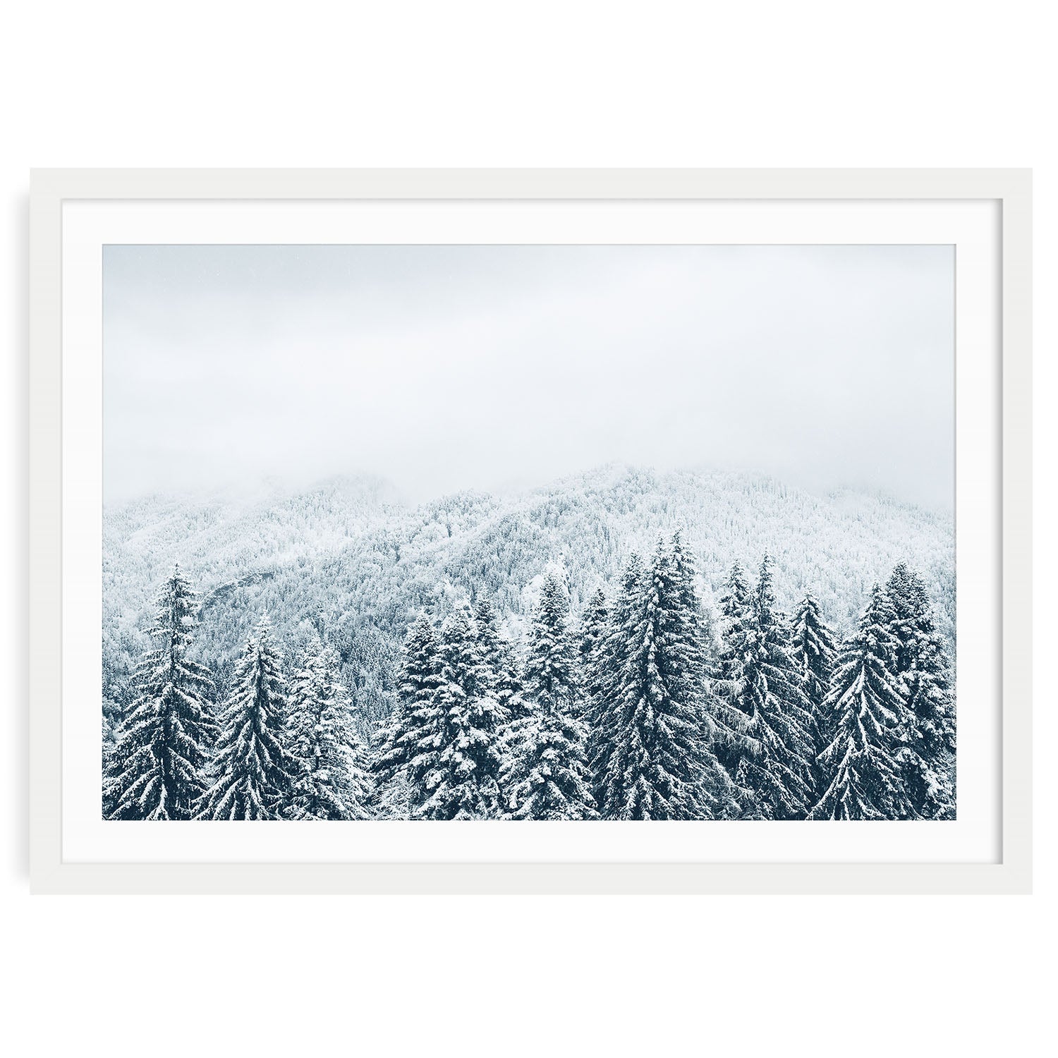 Snow covered evergreen forest wall art print in white frame with mat