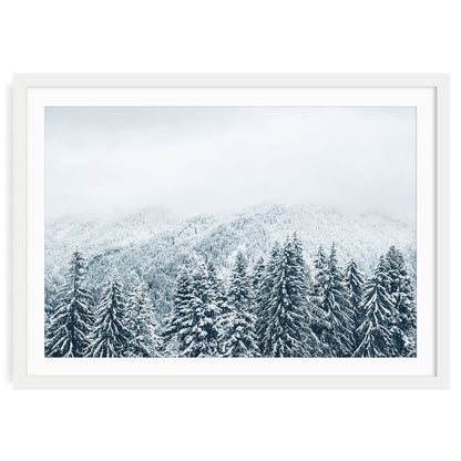 Snow covered evergreen forest wall art print in white frame with mat